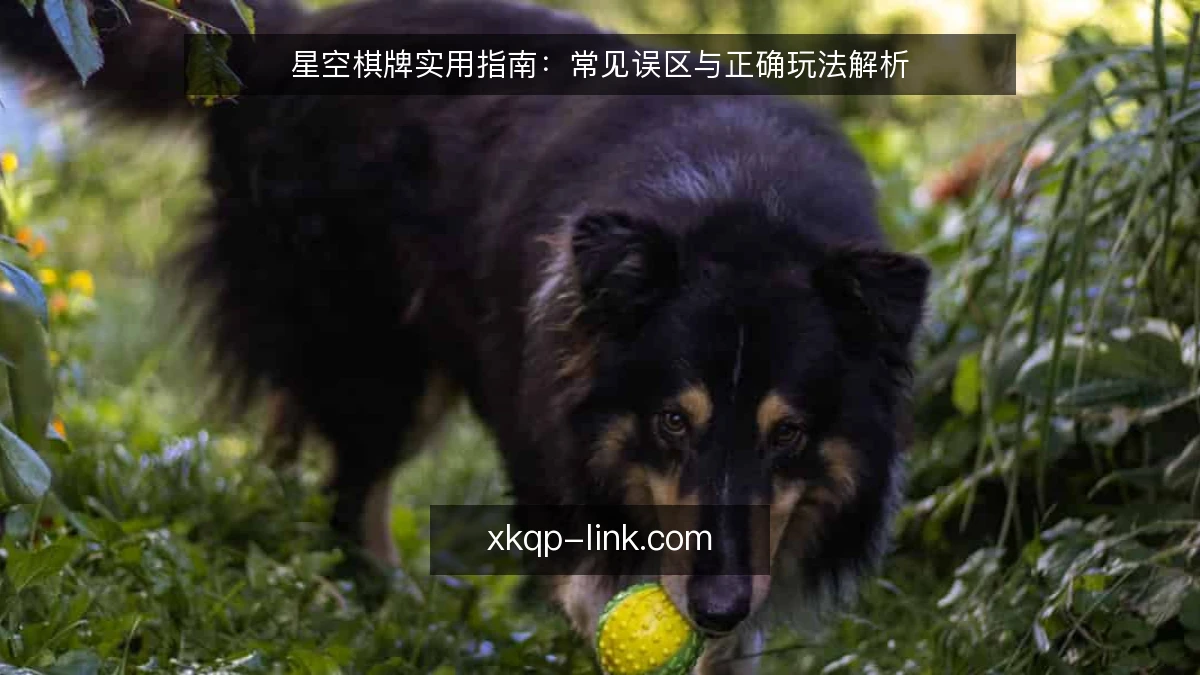 星空棋牌实用指南：常见误区与正确玩法解析